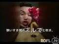Japanische insektenspray werbung