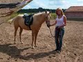 beleren met yasmine