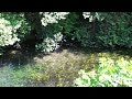 Click here to watch this video Orto Sinergico Cittadino... si comincia!
