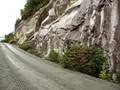 Ruta austral : tramo llaguepe-rampa Puelche