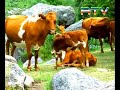 El chulco Escudero - Canto a mi pago El chulco Escudero - Canto a mi pago