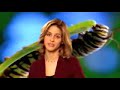 NOVA scienceNOW | NOVA Short | Snail Slime