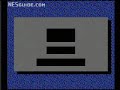 www.nesguide.com