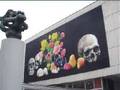 Shifting Identities (Swiss) Art Now - Shirana Shahbazi