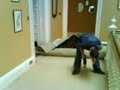 Carpet fitting robot