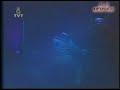 ALFREDO EL PULPO EN VIVO caņonazos ALFREDO EL PULPO EN VIVO caņonazos
