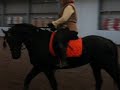 Hayke Poll in training met Wil