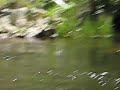 Photos M 041.avi