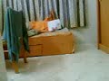 tension nya....