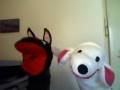 Pavle a Petrovi