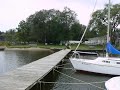 Our 5 year old vizsla diving off a dock in Maryland, fall 2006.