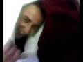 spinello vivente spinello vivente