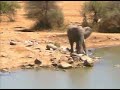 Ellie vs Egrets at Pete\
