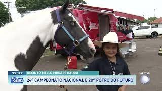 Recinto Melo Moraes Bauru: 24º Campeonato nacional e 20º Potro do Futuro Paint