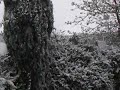 Heavy snow Sunday 6/4/08  (www.snow-cams.com)