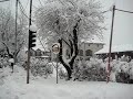 Monzoro innevata Monzoro innevata
