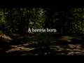 Ayaa: A Hero's Journey - the trailer