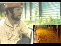 The Reforestation of the Silver Valley