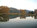 videos de The Ranch Part 7