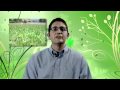 Cartwright Tree Care Tree Fertilization