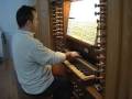 videos de Organo 