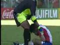 But-Laurent-Blanc-Fr