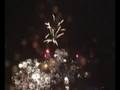 Feuerwerk Berlin Schweizerische Botschaft 01.08.2008