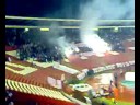Crvena Zvezda - Jagodina, navijaci