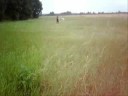 Piicniik\ Piicniik\