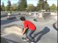sunnyvale montage