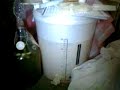 mead and alcoholic ginger beer home brew