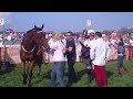 Angela Clarke video 1