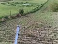 Riesi nuovi cerchi nel grano...