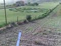 Riesi nuovi cerchi nel grano...