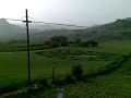 Riesi nuovi cerchi nel grano...