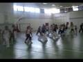 Danceart 2007 - Capoeira seminar in Volos, Greece