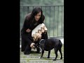 some probs...
but the thing that is important are the photos so...enjoy.it's my first video and the last one...i guess :p
all of the pics are from famke-janssen.org  ;)
music:maroon 5-this love