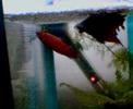 Bettas-DT-VT Spawning 1