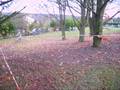 videos de S6000481.AVI