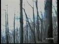 1996 - Chi l'ha visto? Indagine. Sandro Marcucci 1/4