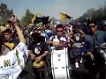 Pumas Rebel Carnaval al Gallinero