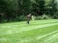 Fat kid getting shot by Paintballgun