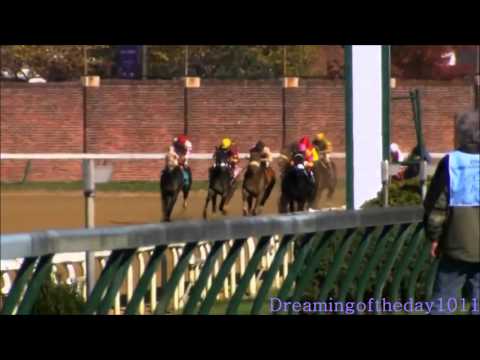 horse racing