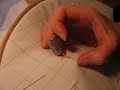 Hand Quilting