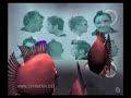 music video - electro / chillout - elektroluxtaken from the DVD 