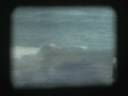 Lake Michigan Beach 1981.mov Lake Michigan Beach 1981.mov