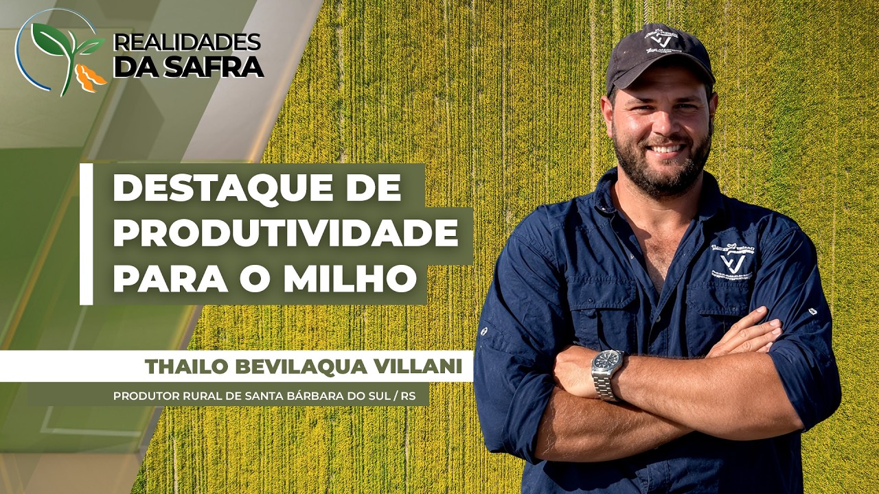Produtor gaúcho se destaca ao conseguir alta produtividade para o milho