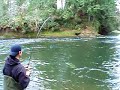 huge steelhead on olympic peninsula