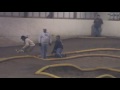 LEISURE HOURS RACEWAY Nitro State Champs Start Of Buggy A-Main