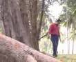 jali bunga tanjung - kasih tok jujur